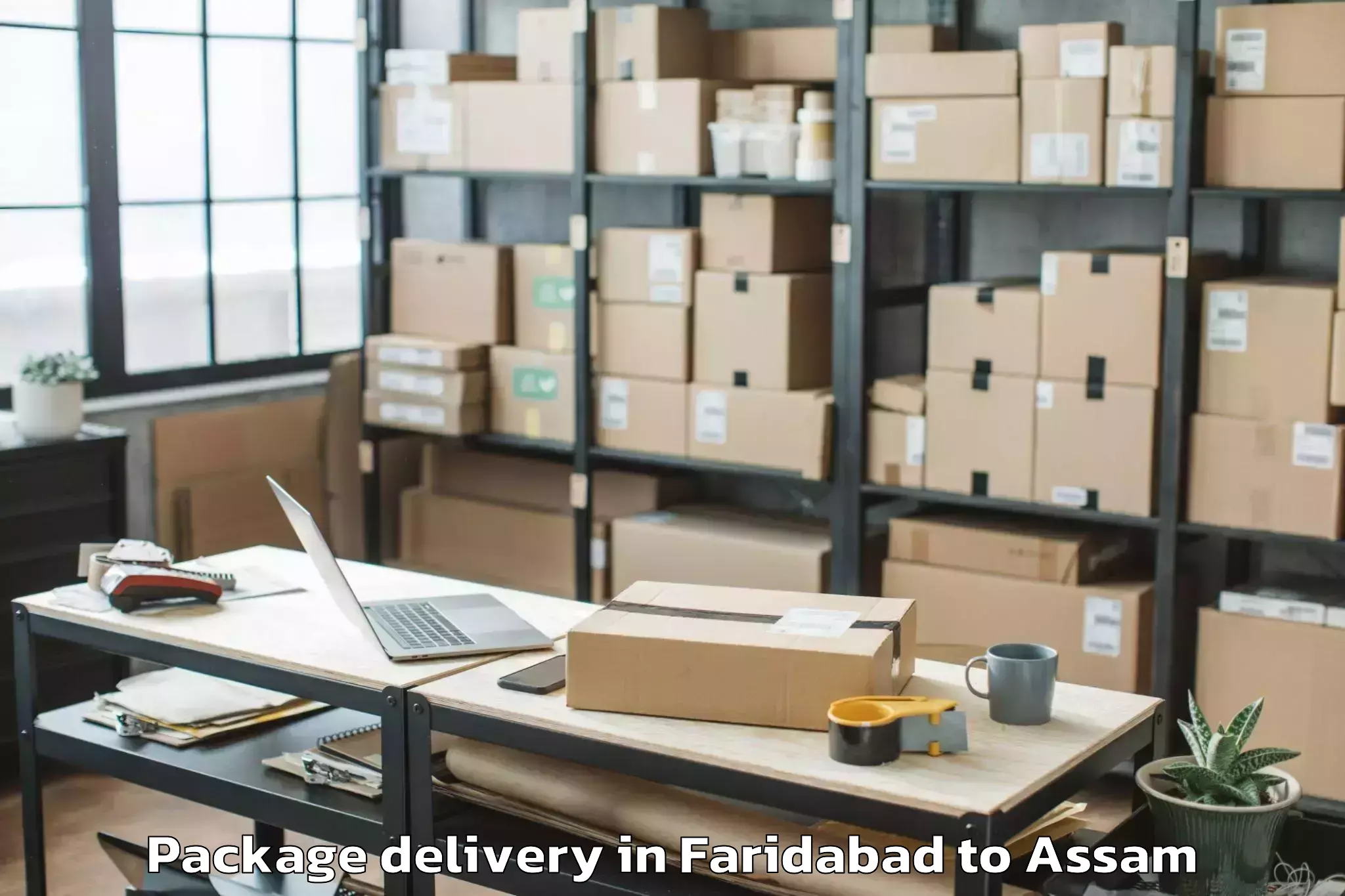 Professional Faridabad to Hajo Package Delivery